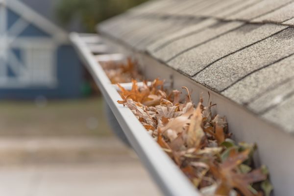 Leaf Barrier Installation in Brevard